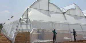 High Tunnel Polyhouse