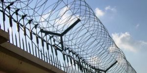 Rounded Razor Wire with Sharp Blade