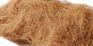 Coconut Fiber