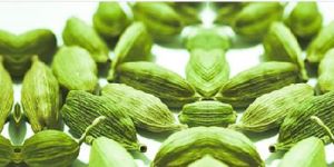 Green Cardamoms