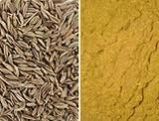 Cumin, Cumin Powder