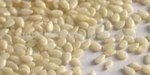 Sesame Seeds