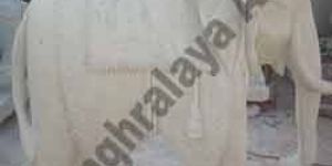 Marble Elephant Statues