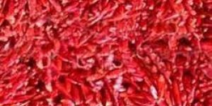 Dried Red Chilli