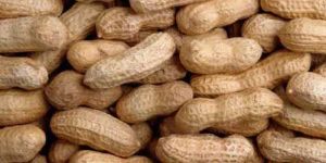 Shelled Groundnuts
