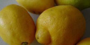 Lemon