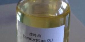 Eucalyptus Oil