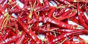 Red Chilly