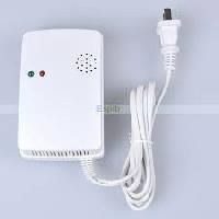 Gas Detection System