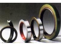 Beltings Oil Seals Bearings