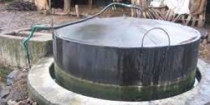 Biogas Generator