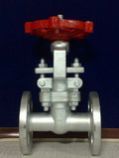Investment Casting Globe Valve