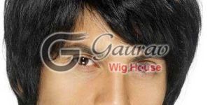 Mens Hair Wigs