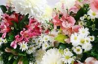 Natural Flowers