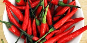 Fresh Red Chilli
