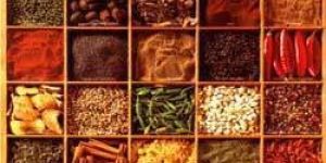 Indian Spices