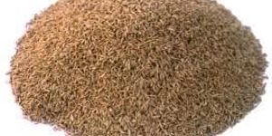 Cumin Seeds