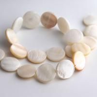 Shell Beads