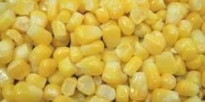 Frozen Sweet Corn