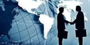 Dgft Consultancy Services