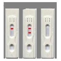 Rapid Diagnostics Test Kits