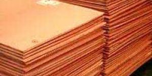 Copper Cathodes