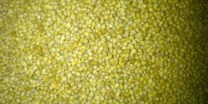 Bold Green Millet