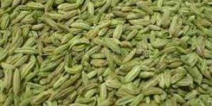 Fennel Seeds