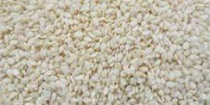 Sesame Seeds