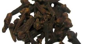 Cloves