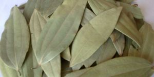 Dry Bay Leaf
