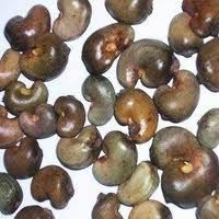 Raw Cashew Nuts