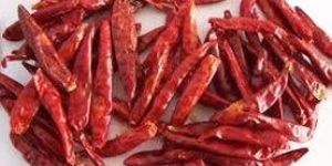 Dry Red Chilli