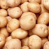 Potatoes