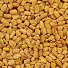 Fenugreek Seeds.