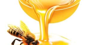 Organic Wild Honey