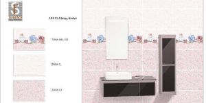 250 X 375 Glossy Concept Series Tiles