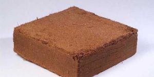 Coconut Coir Pith Block