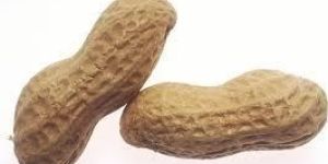 Ground Nuts ( Pea Nuts )