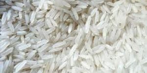 Kolam Rice