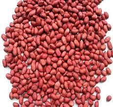 Bold Groundnut Kernels