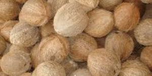 Fully Husked Coconut