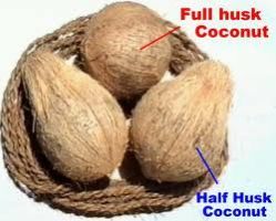 Matured Semi Husked Coconut