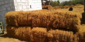 White Coir Fibre