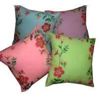 Designer Cushions