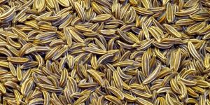 Cumin Seeds