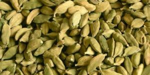 Cardamom