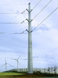 Transmission Poles
