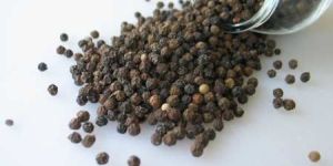 Black Pepper