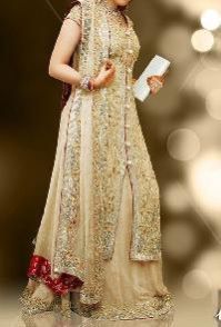 Hand Embroidered Party Wear